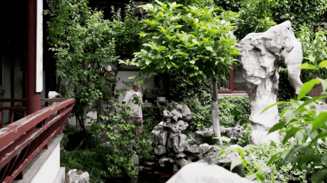 IMG_9456.GIF