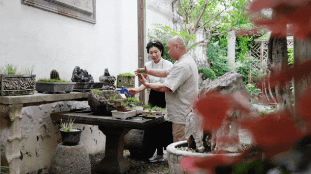 IMG_9460.GIF