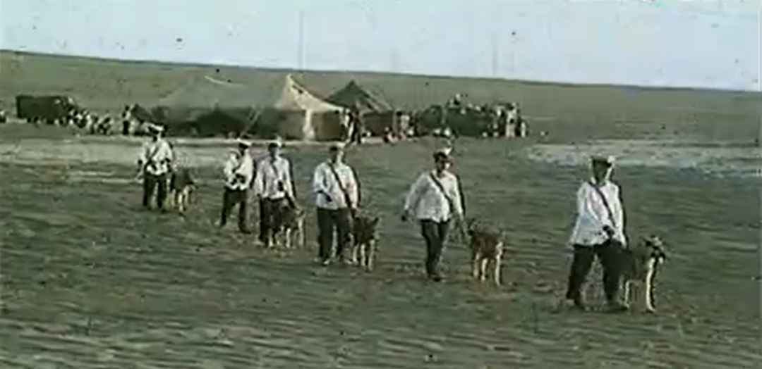 8.png