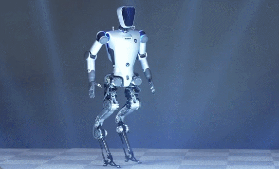 IMG_0993.GIF