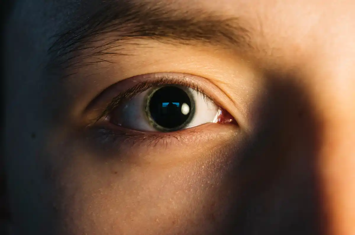 pexels-photo-3594720.png