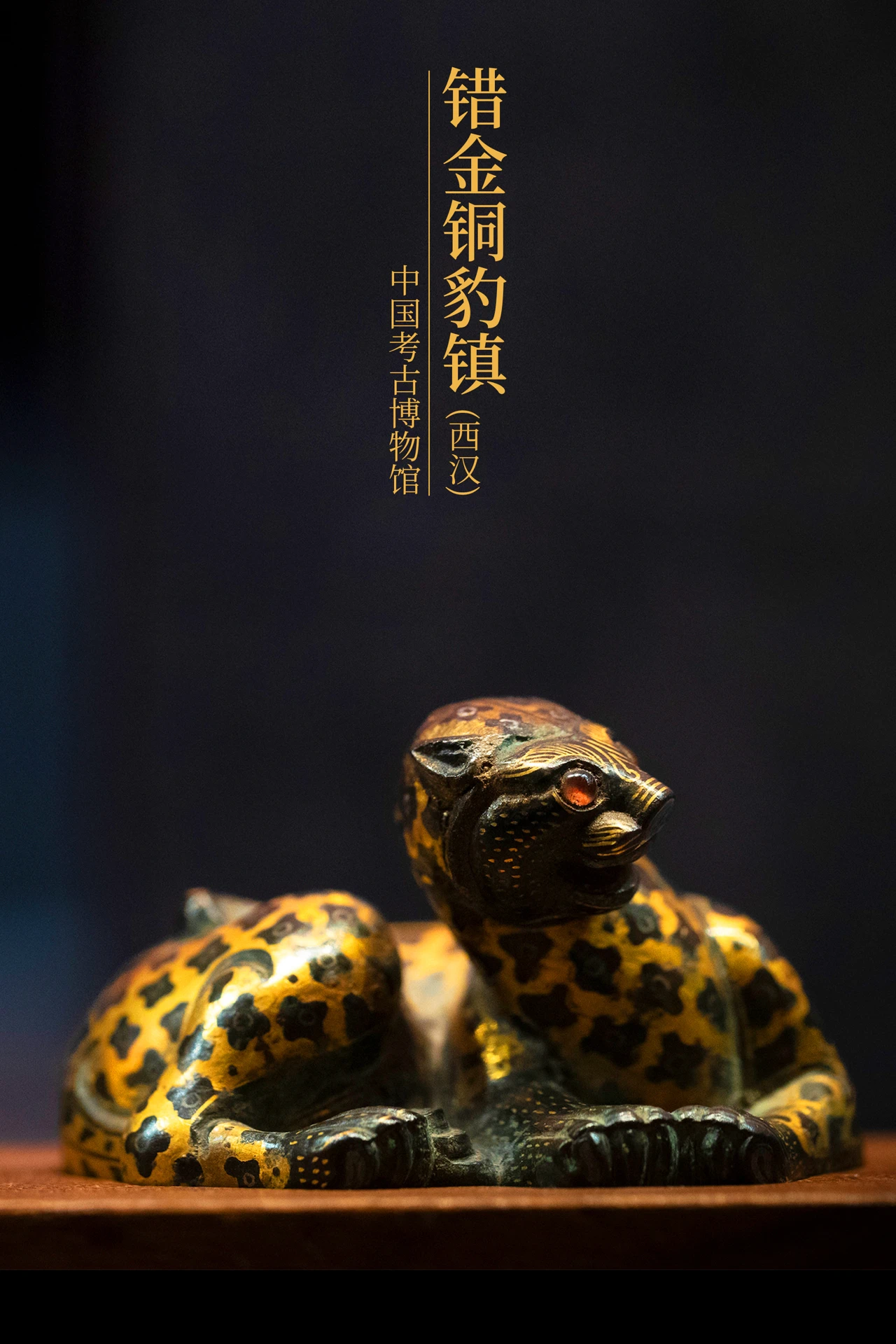 IMG_7305.PNG