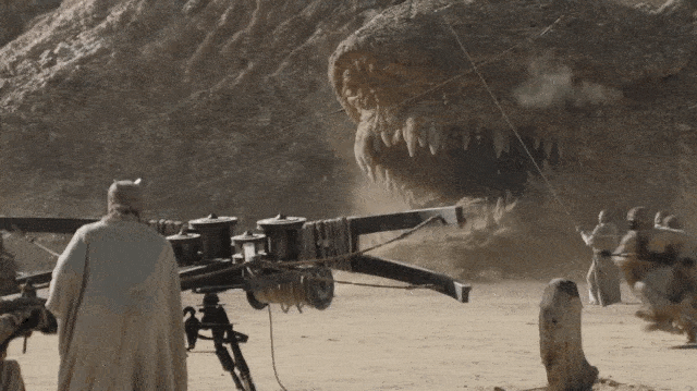IMG_2300 (1).gif