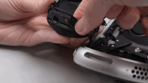 IMG_7982.GIF