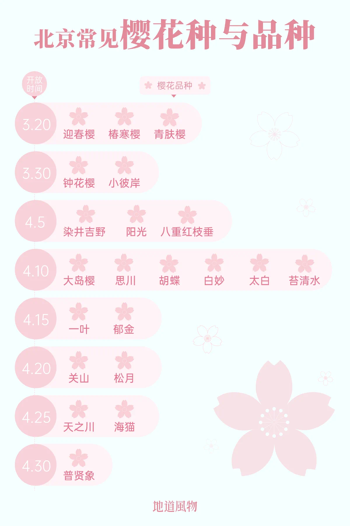 IMG_3713.PNG
