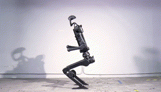 IMG_5891.GIF