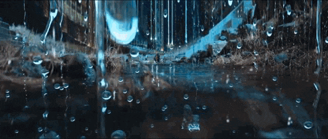 IMG_8284-ezgif.com-optimize.gif