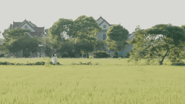 IMG_0267.GIF