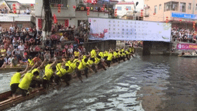 IMG_1599.GIF