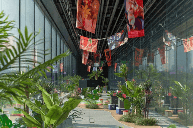 IMG_8645.GIF