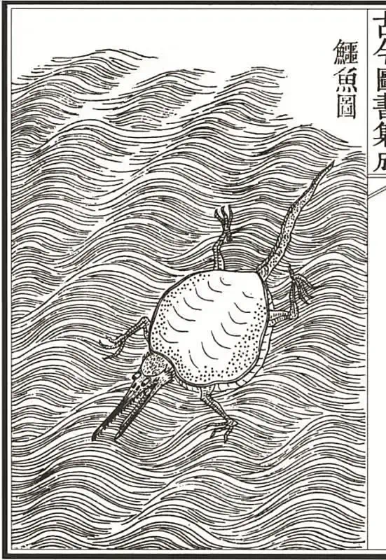 IMG_0194.PNG
