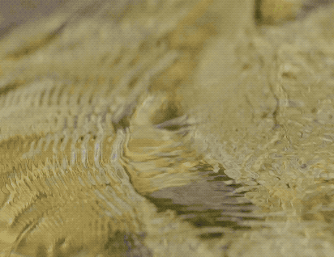 IMG_2821-ezgif.com-optimize.gif