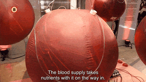 IMG_6837-ezgif.com-optimize.gif