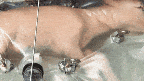 IMG_6838-ezgif.com-optimize.gif