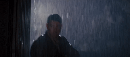 IMG_5687.GIF