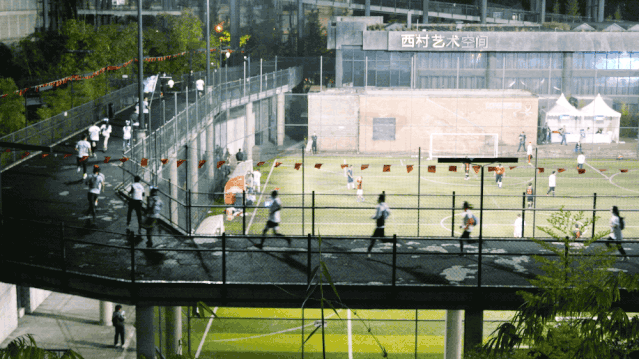 IMG_7252.GIF