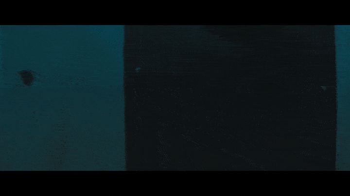 24-ezgif.com-optimize.gif