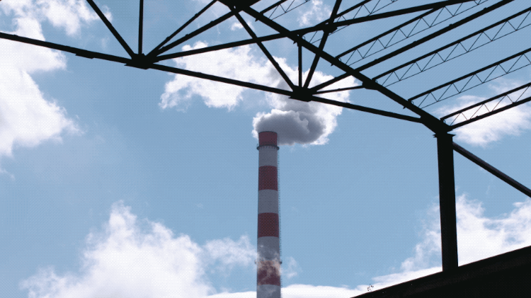 IMG_8536.GIF