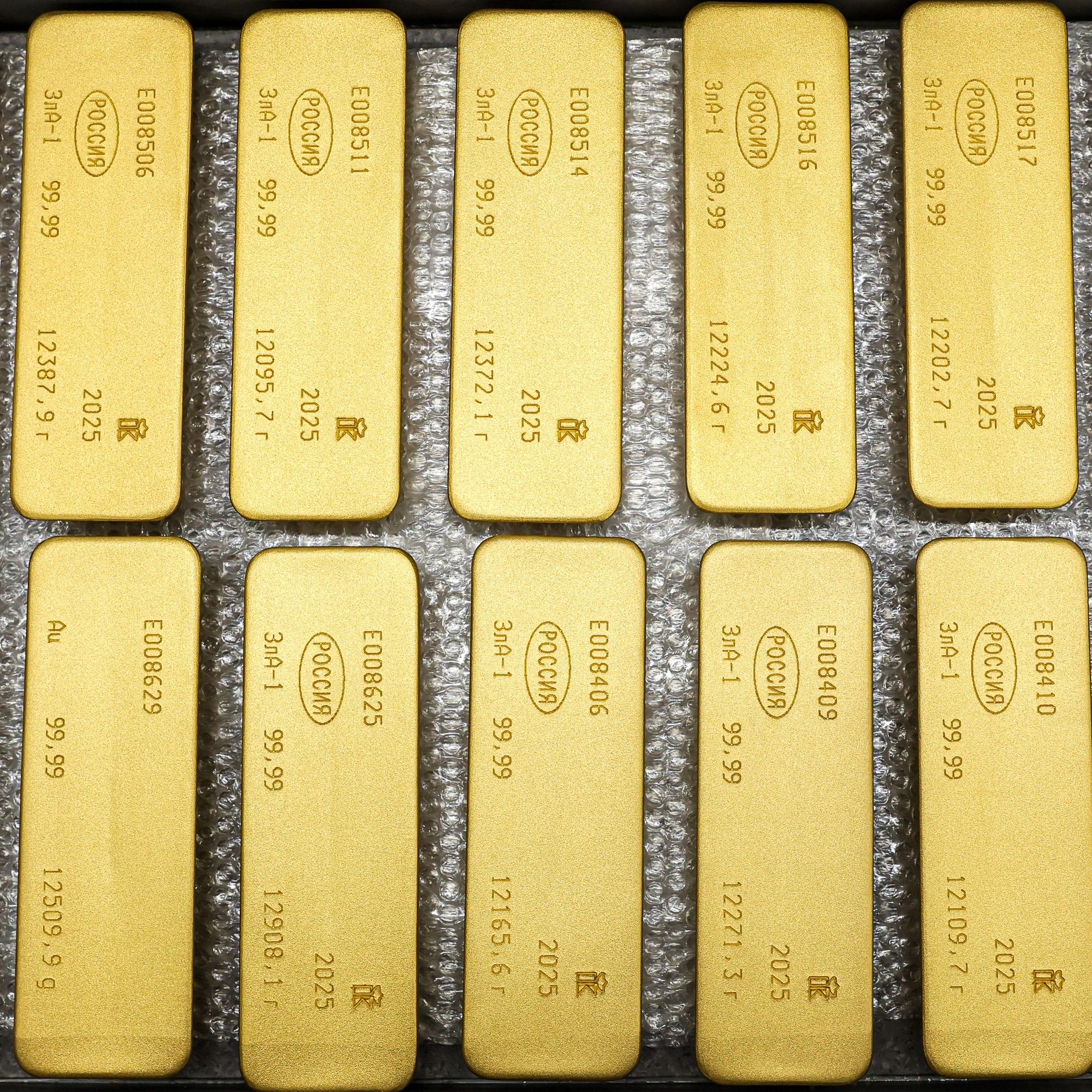 6-compressed.jpg