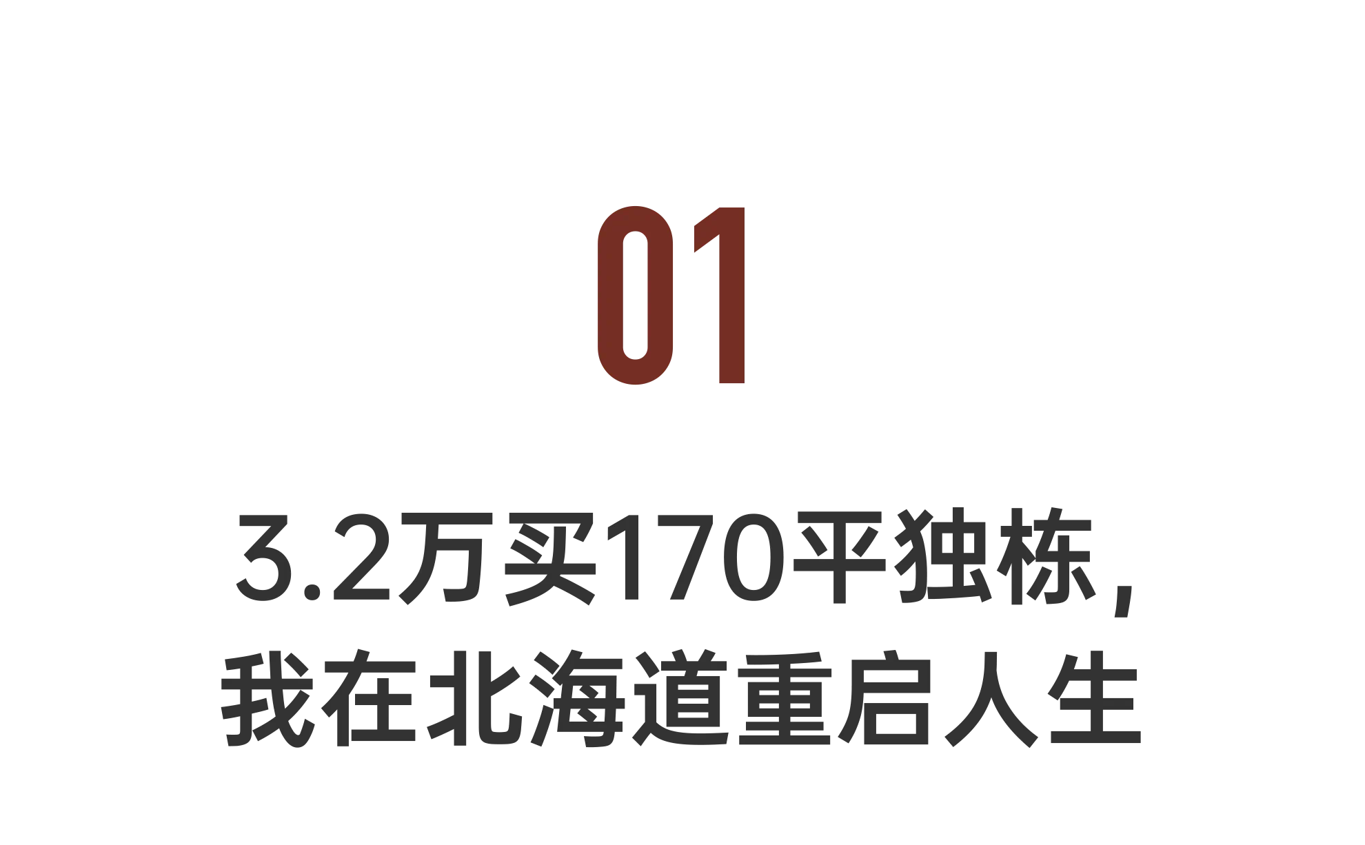 IMG_1535.PNG