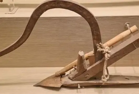 11a.jpg