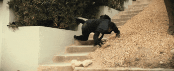 IMG_3232.GIF