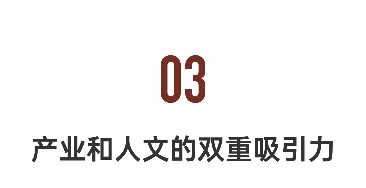 IMG_3136.PNG