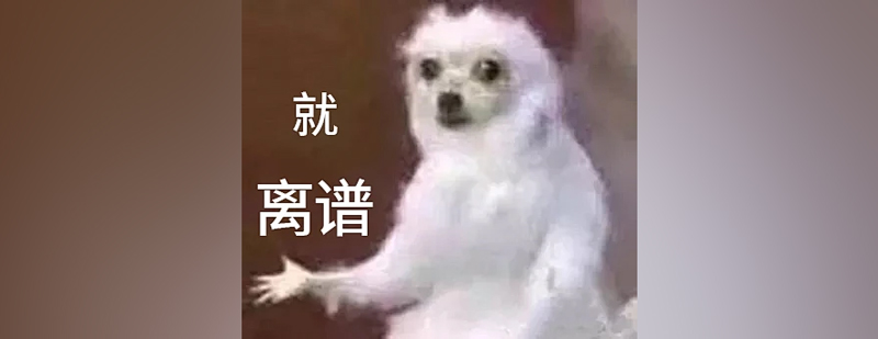 a1.jpg