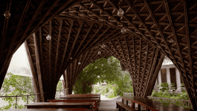 IMG_8680.GIF
