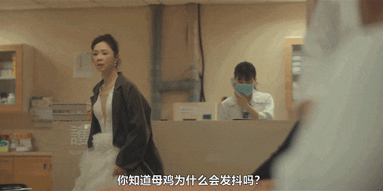 IMG_8719.GIF