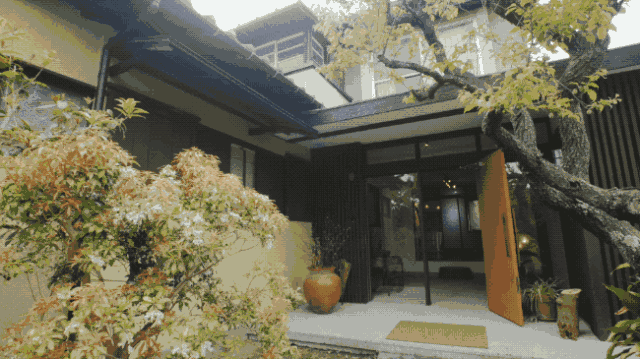 IMG_8328.GIF