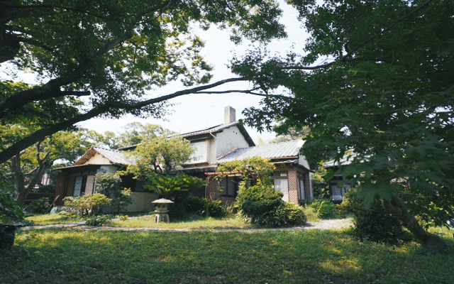 IMG_8333.GIF