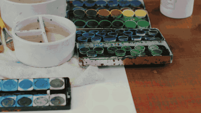 IMG_8347.GIF