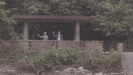IMG_6593.GIF