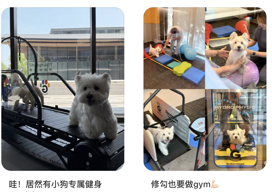 IMG_6018.PNG