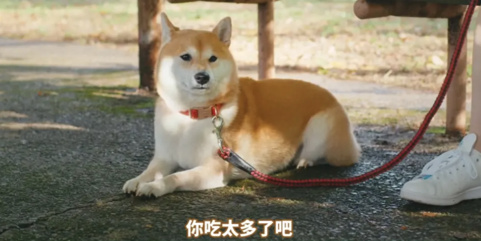 IMG_6025.PNG