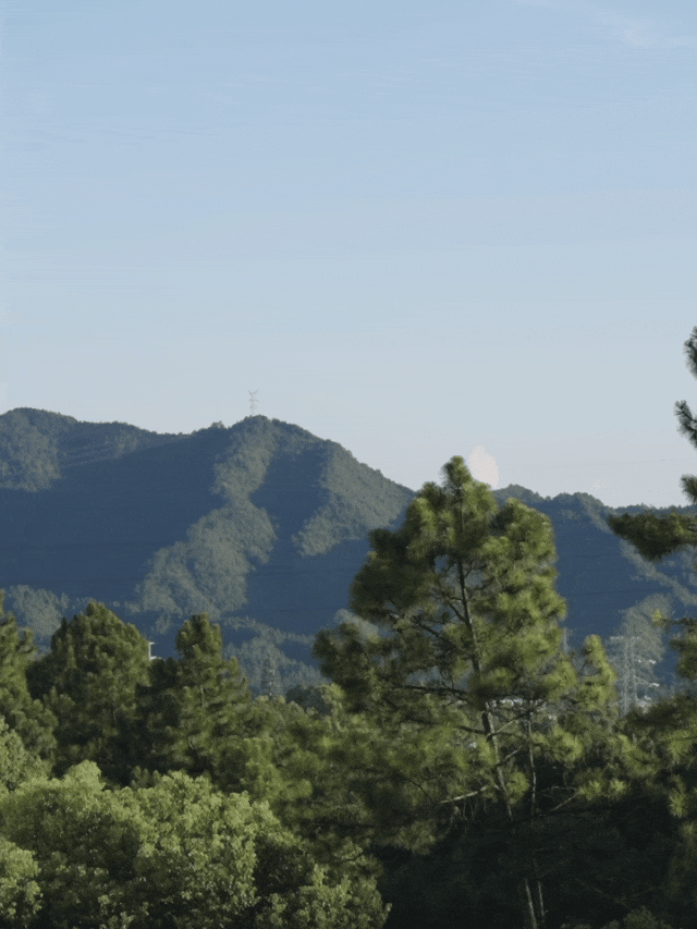 IMG_7408.GIF