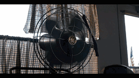 IMG_3390.GIF