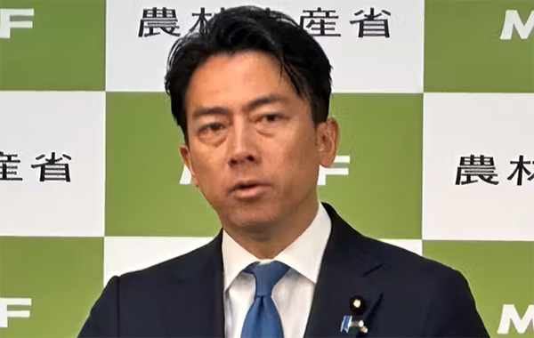 a1.png