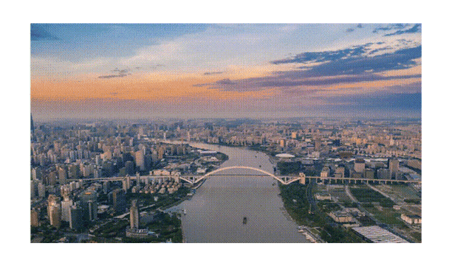 IMG_7946-ezgif.com-optimize.gif