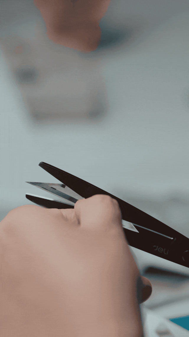 IMG_8651.GIF