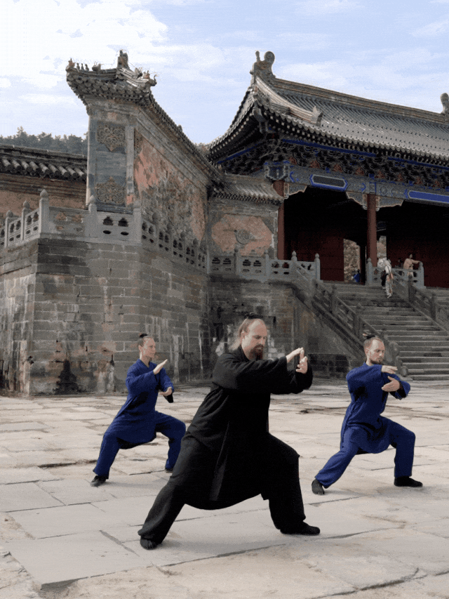IMG_8911.GIF