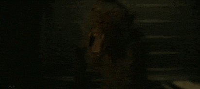 3.gif