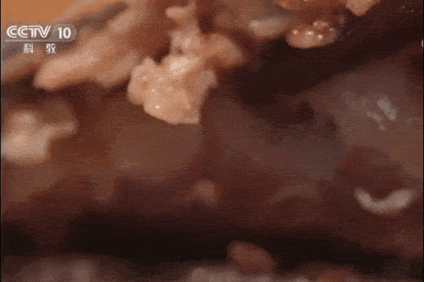 66-ezgif.com-optimize.gif