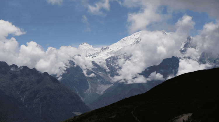 IMG_0194.GIF