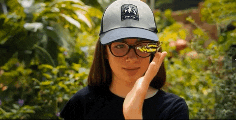 30.gif