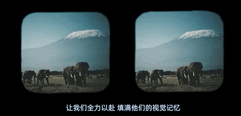 11-ezgif.com-optimize.gif