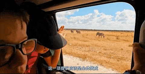 22-ezgif.com-optimize.gif