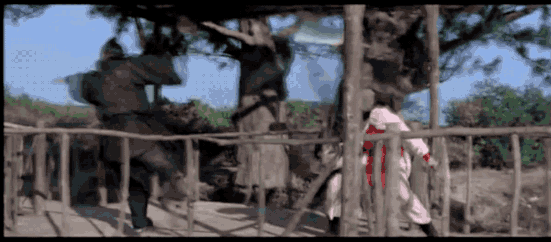 IMG_7215.GIF