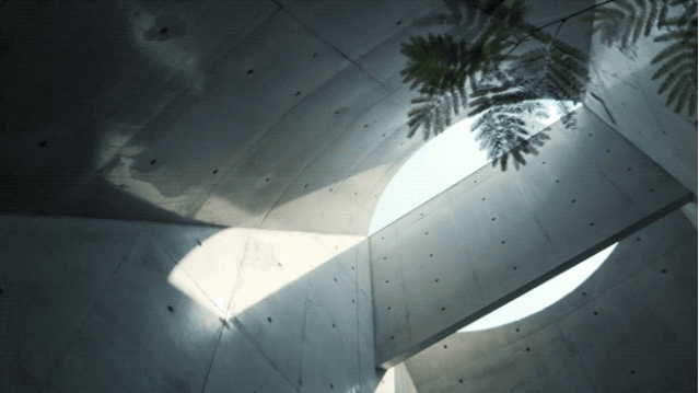 IMG_0547.GIF